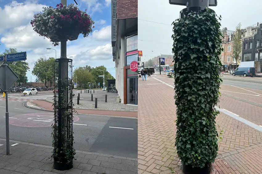 groene-zuil